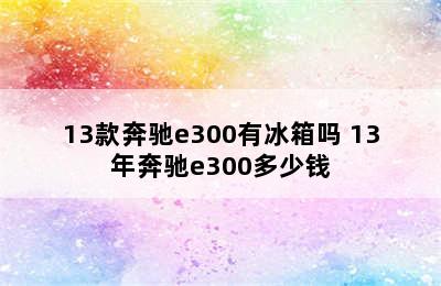 13款奔驰e300有冰箱吗 13年奔驰e300多少钱